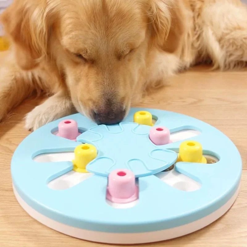Jouet Puzzle pour chien Jouet d'entraînement, interactif