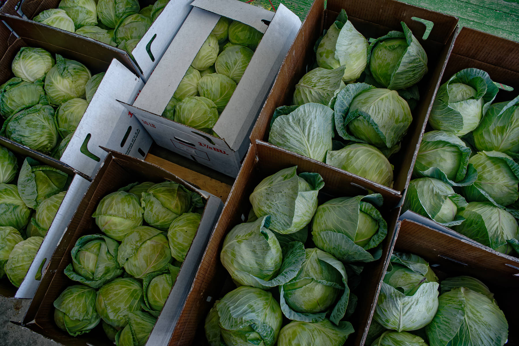 Plowboy Produce Auction Amish of Ethridge