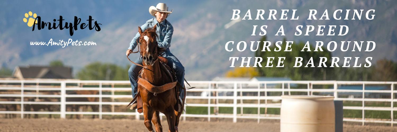 Best Horse Breeds for Barrel Racing [5 top breeds with pictures