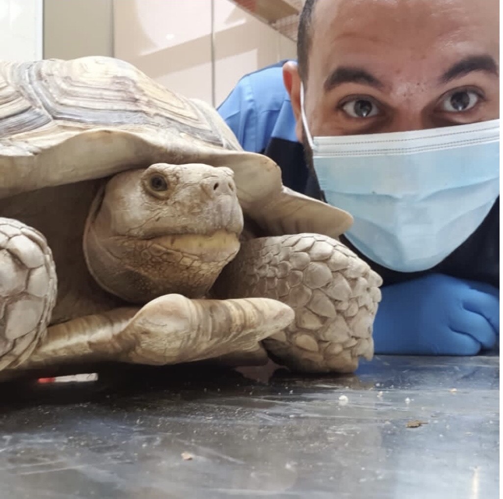 Careers Veterinary Jobs in Dubai Amity Veterinary Clinic