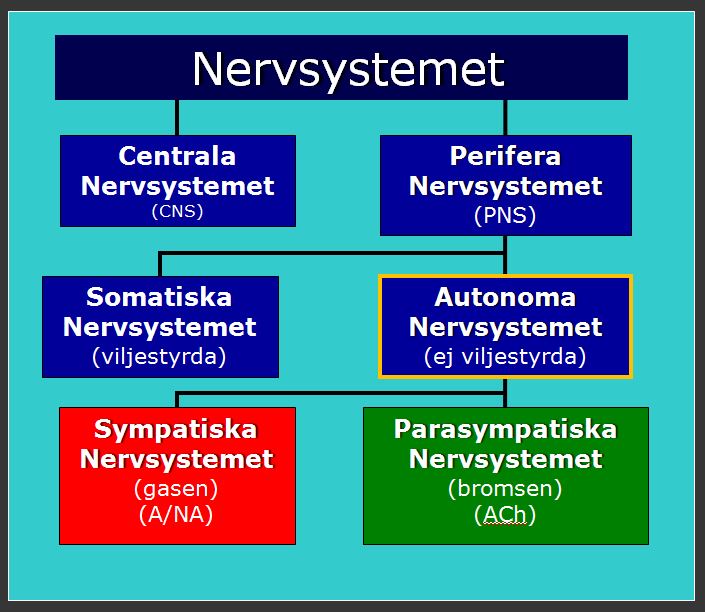 Podcast 007 Stress del 2