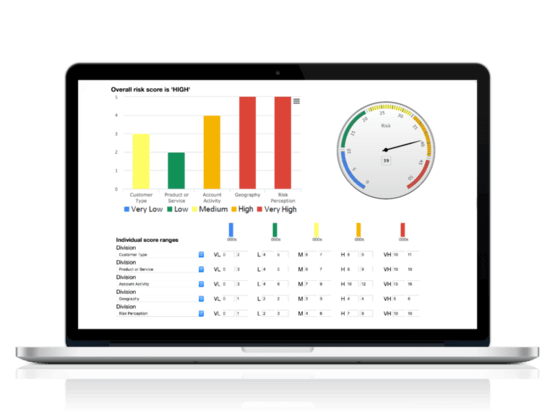 Customer Risk Profiling and Customer Due Diligence AML Software
