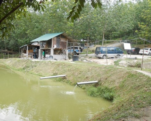 Tempat Memancing Di Selangor malakwos