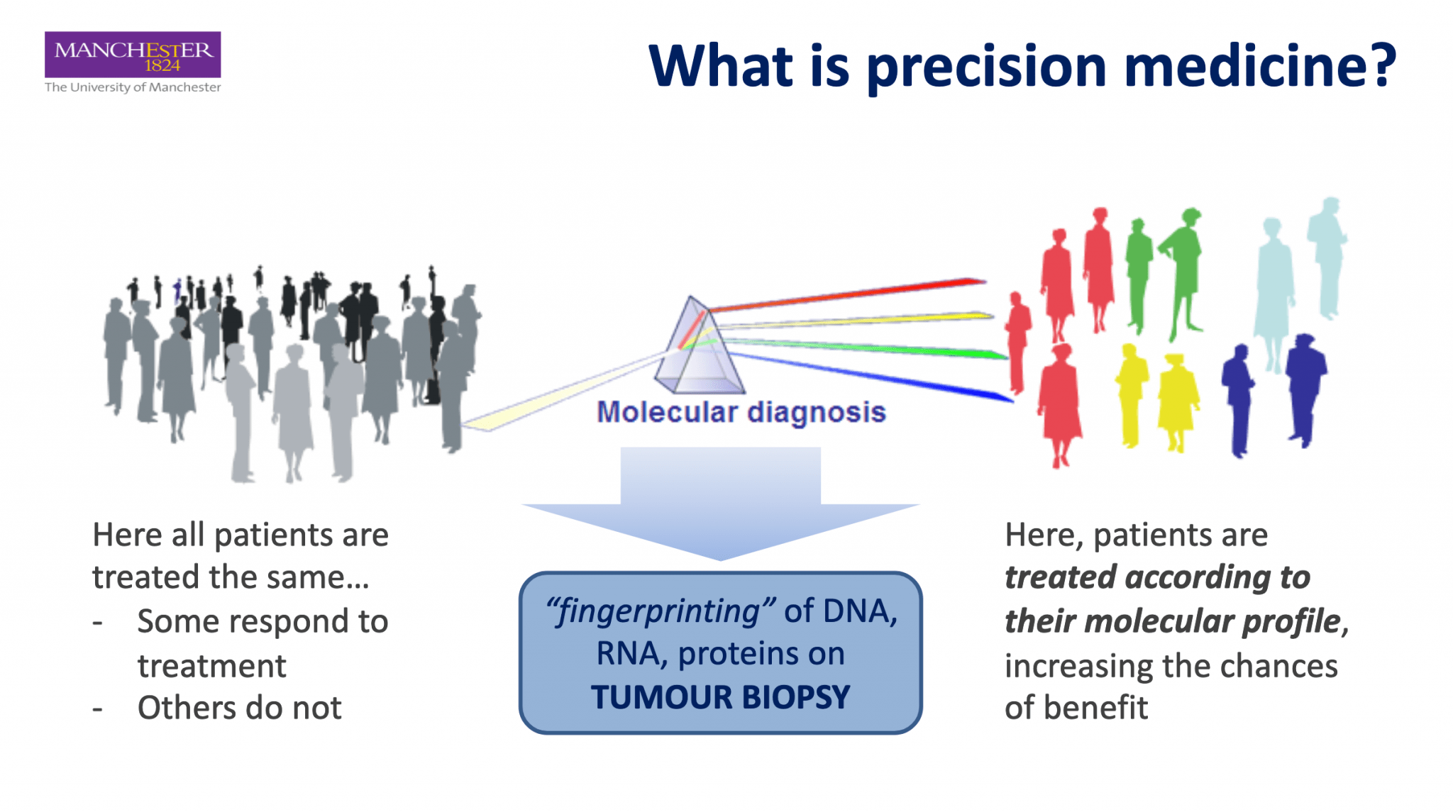 Molecular Profiling and Targeted Therapies AMMF
