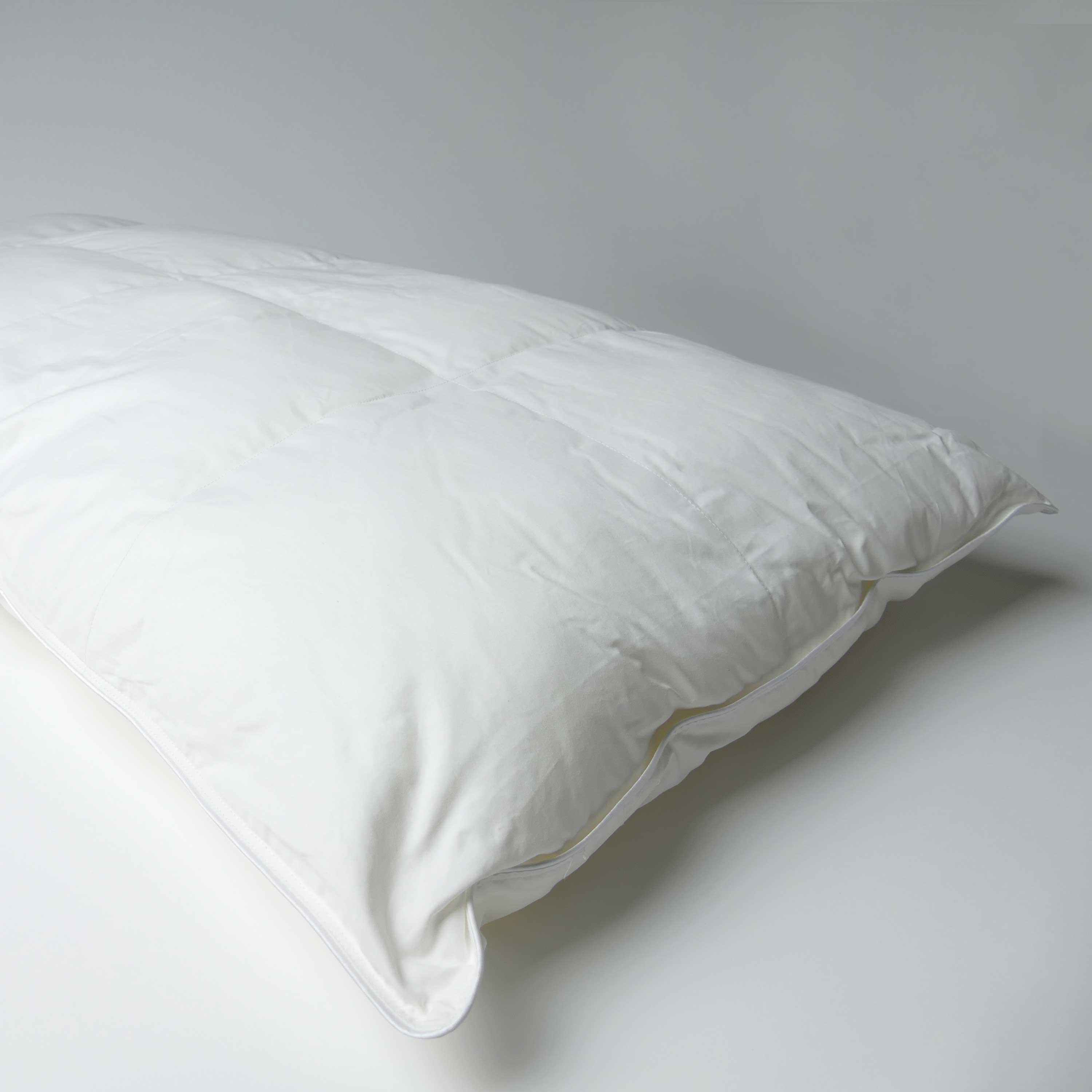 Slim Perfect Pillow Ammique