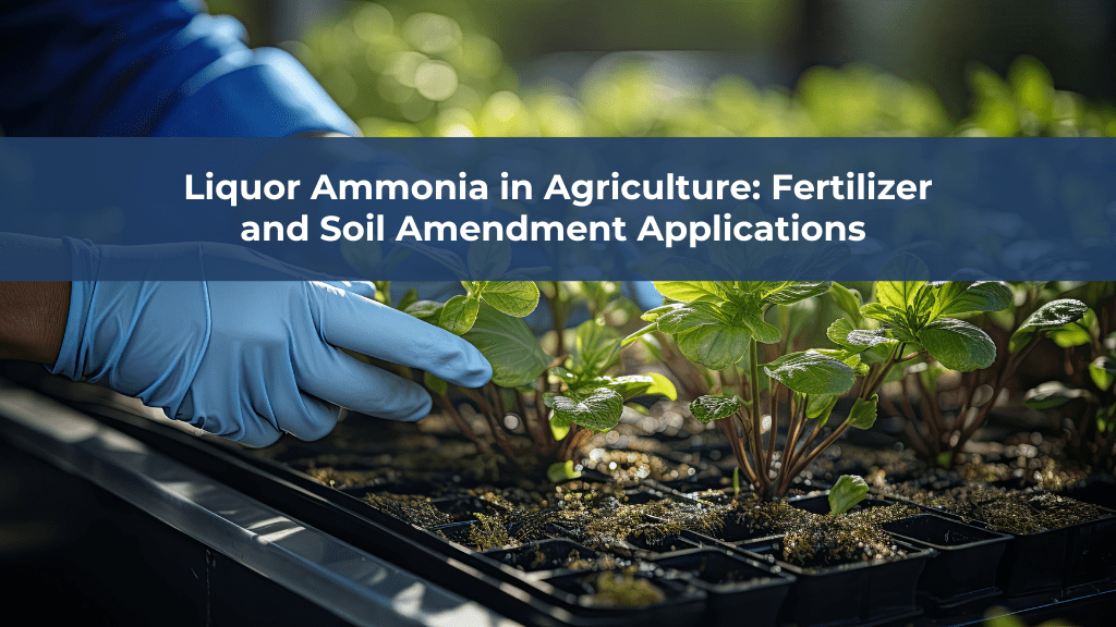 Liquor Ammonia in Agriculture Fertilizer & Soil Enhancement