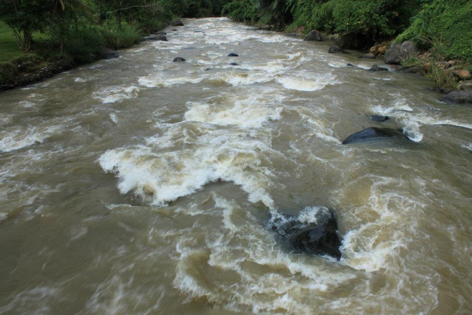 Aligator Rafting on Citarik River SHELLY