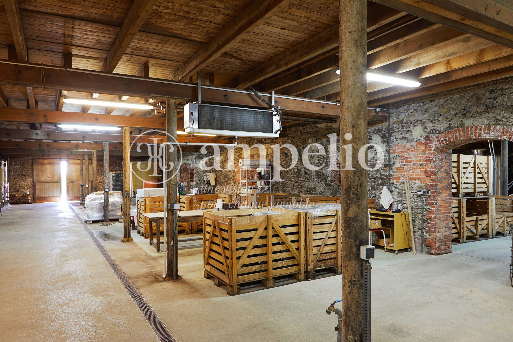 Anjou Domaine complet de 26 hectares 100 négoce Ampelio