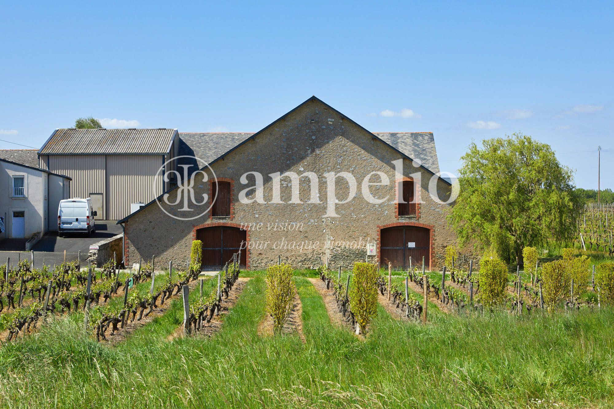 Anjou Domaine complet de 26 hectares 100 négoce Ampelio