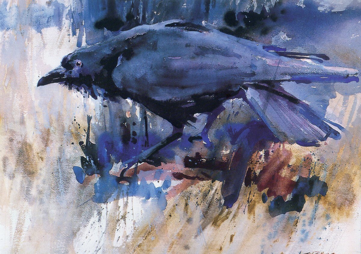 William F. Reese Amphora Editions Art Books