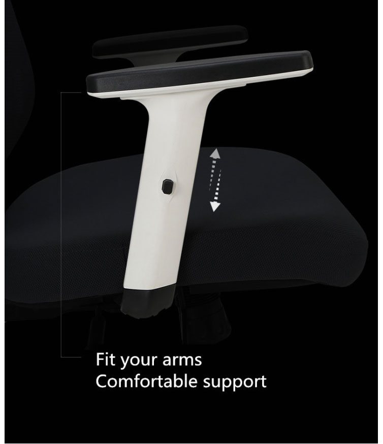 Buy Zoner Medium Back Chair Luxury Office Chair India