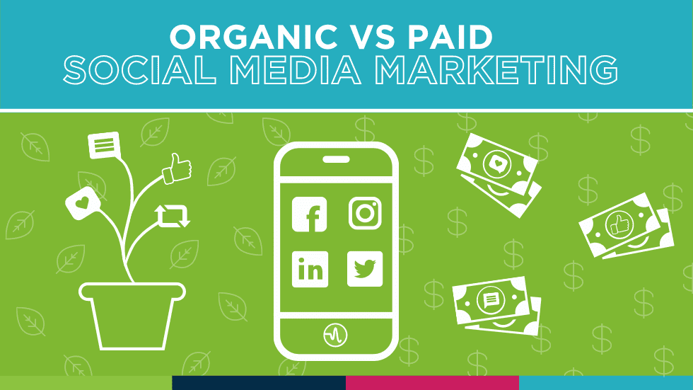 Organic vs Paid Social Media Marketing Amplified Digital Agency