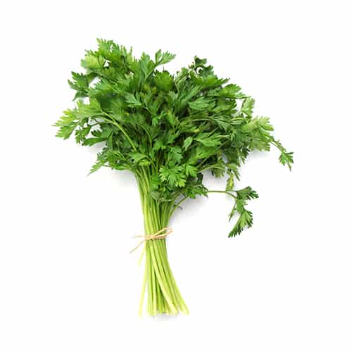 Fruit Delivery Toronto, Buy Fruit Online Canada Fruit Wholesale Toronto