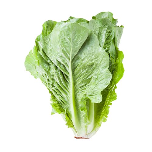 Fruit Delivery Toronto, Buy Fruit Online Canada Fruit Wholesale Toronto