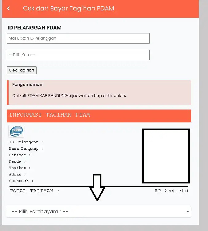 Cek dan Bayar Tagihan PDAM Secara Online(04)