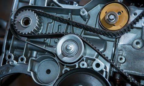 Timing Belt Replacement | Amral Automotive