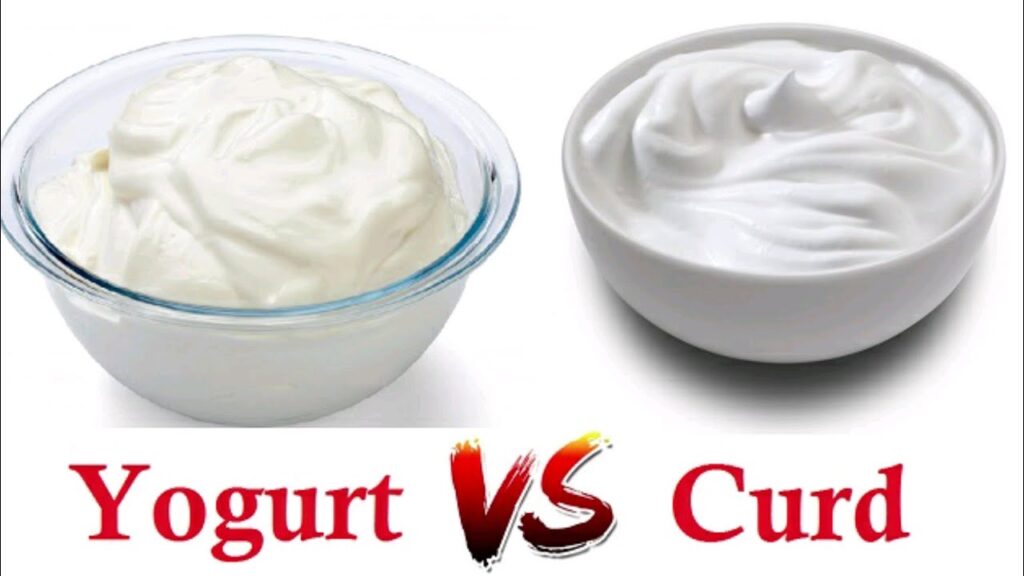 What is the Difference Between Curd & Yogurt? Health Benefits of Curd