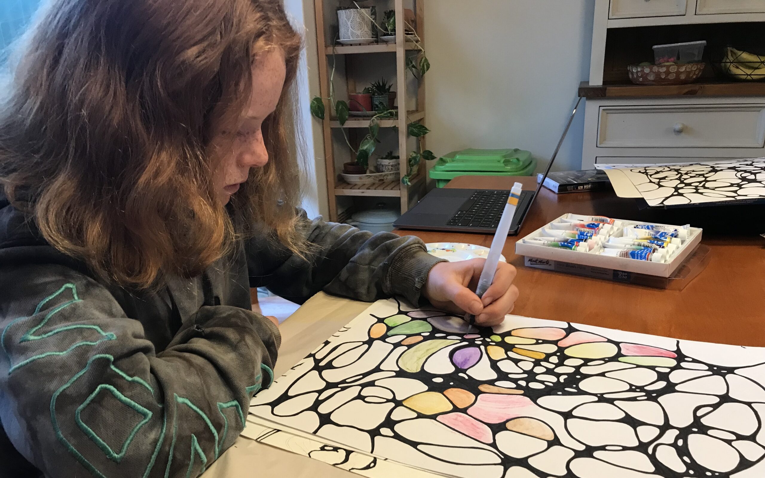 The Cocoon Gallery for Emerging Artists Max Palmer Shire of