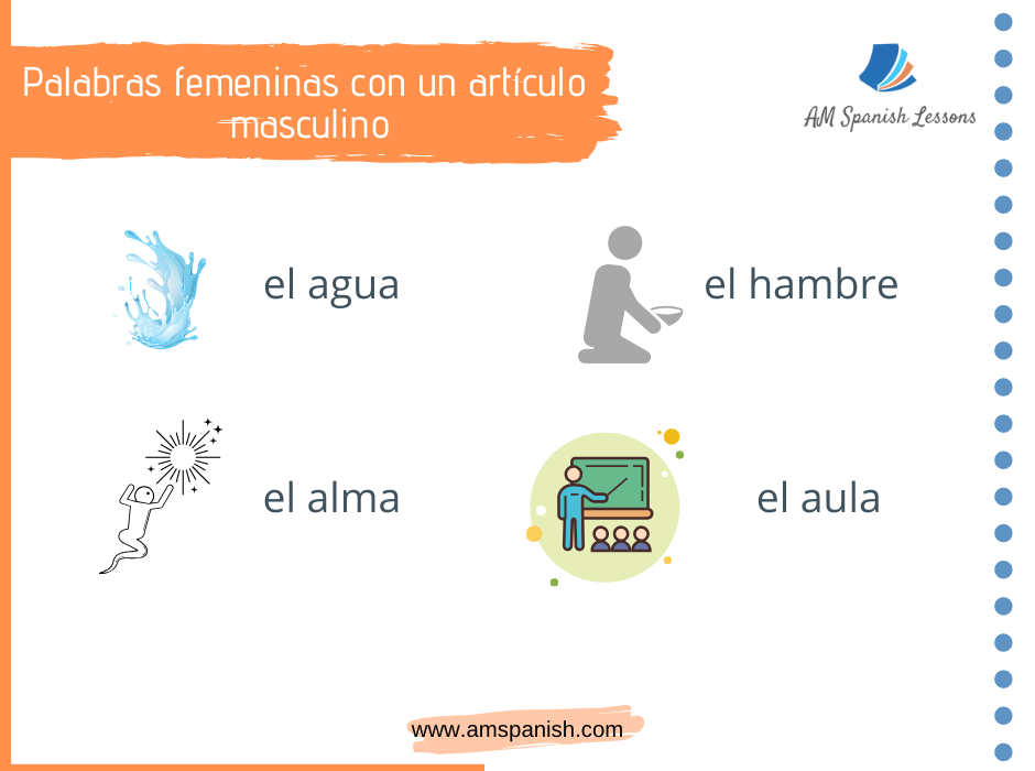 7 rules to learn the gender in Spanish / AM SPANISH LESSONS