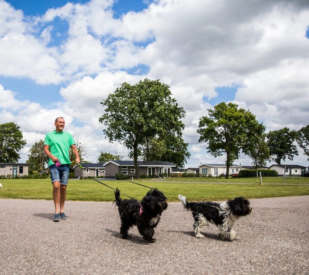 How to adopt a pet in the Netherlands? Amsterdam Daily News Netherlands & Europe