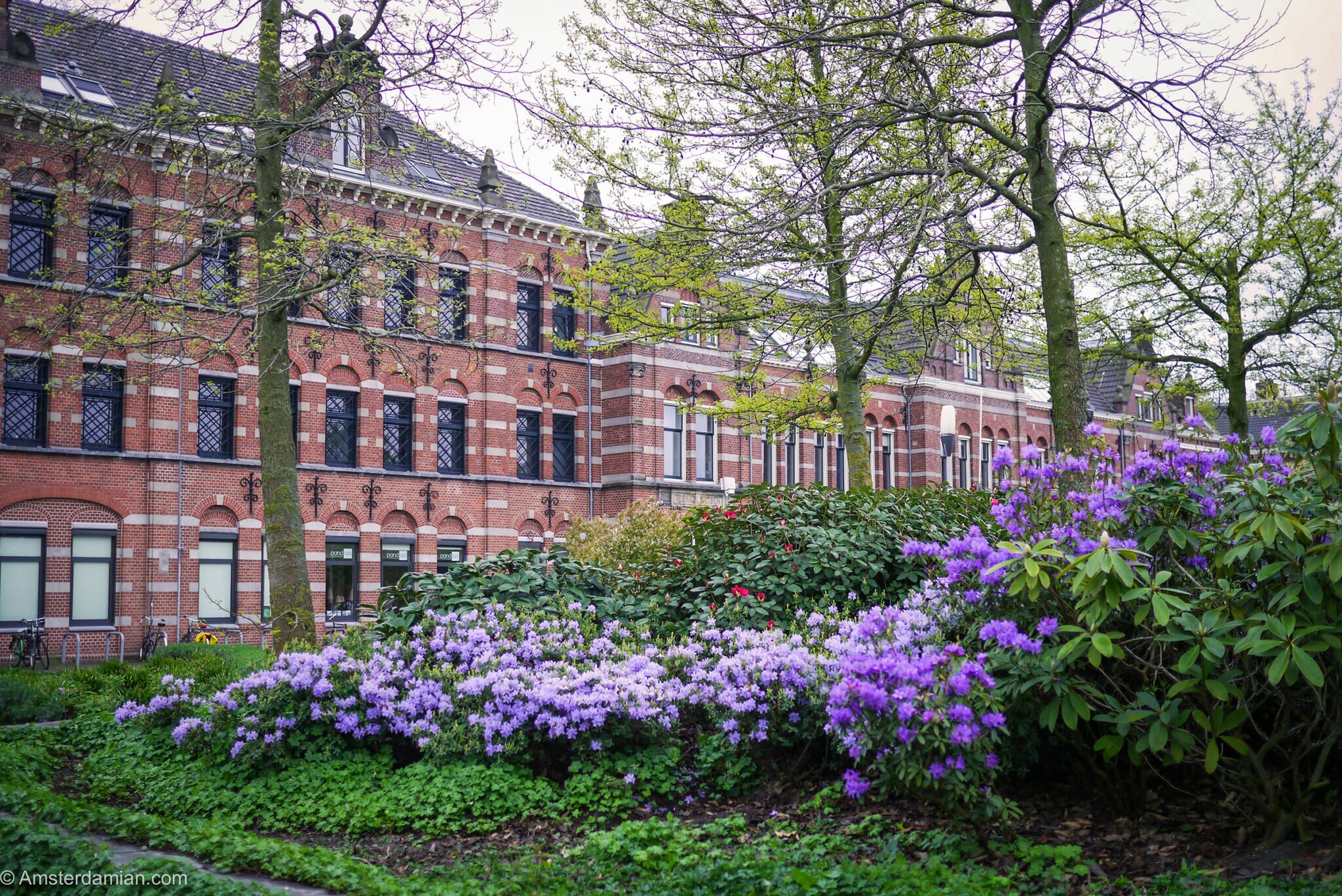 Amsterdam gardens. Spend the summer surrounded by flowers Amsterdamian