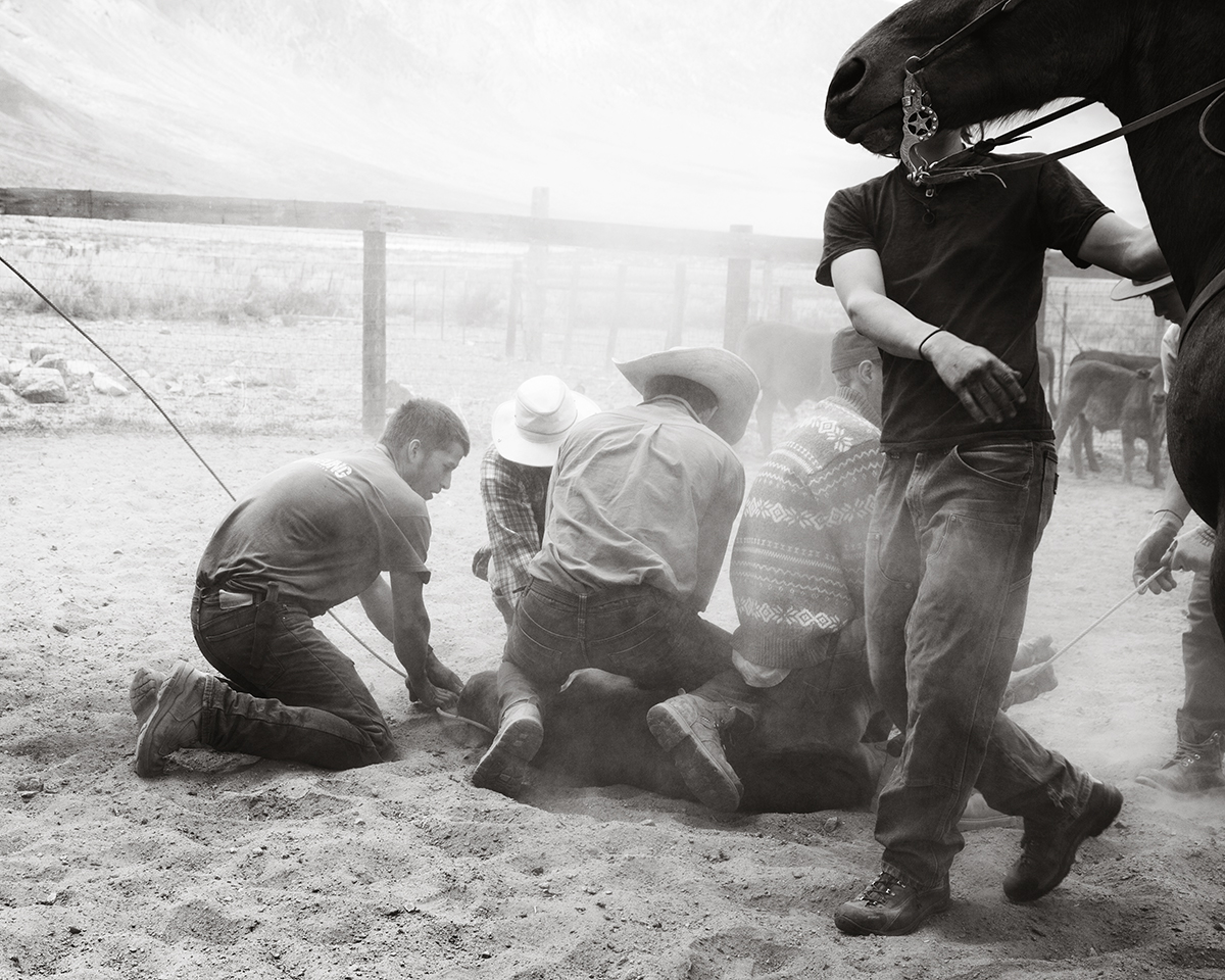 Aperture / Parsons Artist Talk Sam Contis 11/7, 7PM Art, Media