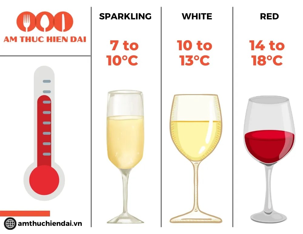 How to Get Started with Wine A Sommelier’s Answer Ẩm Thực Hiện Đại