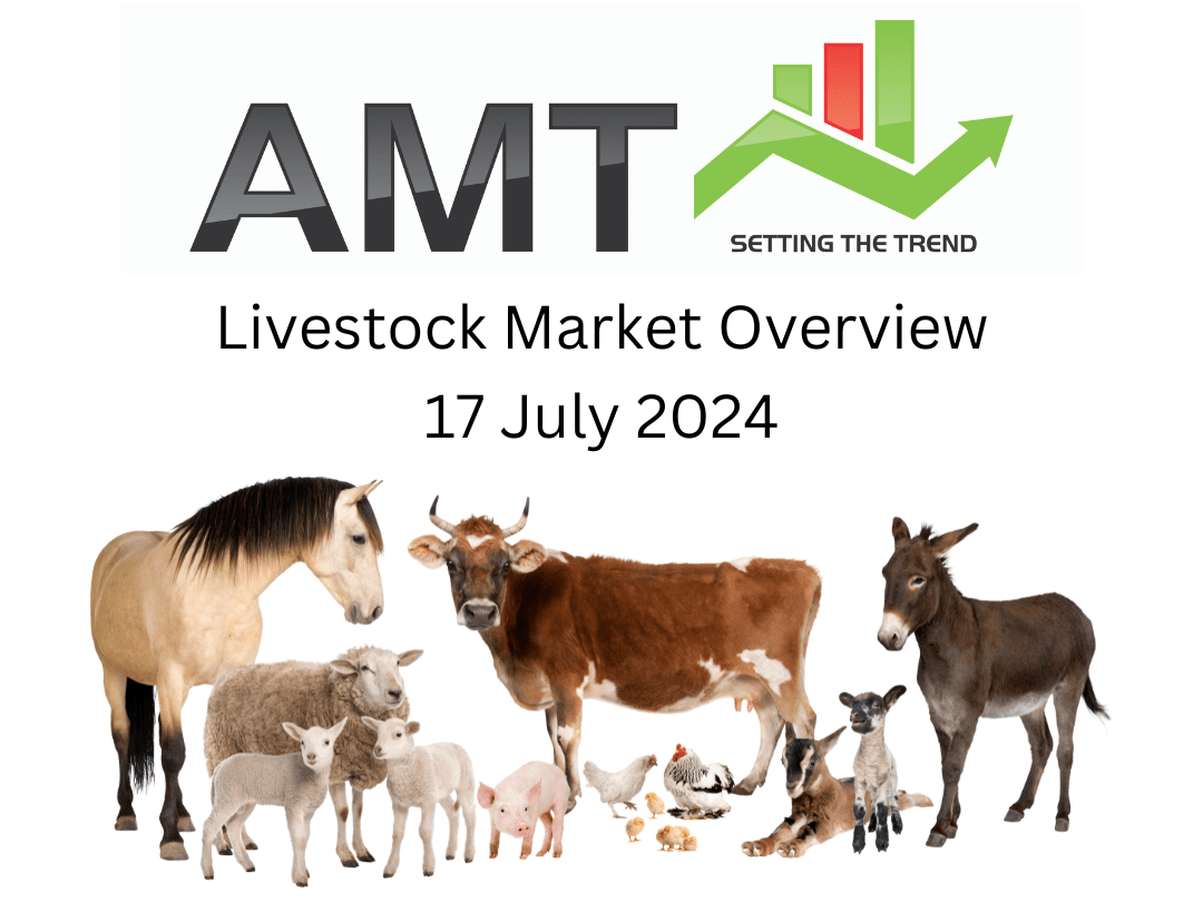 Livestock Market AMT