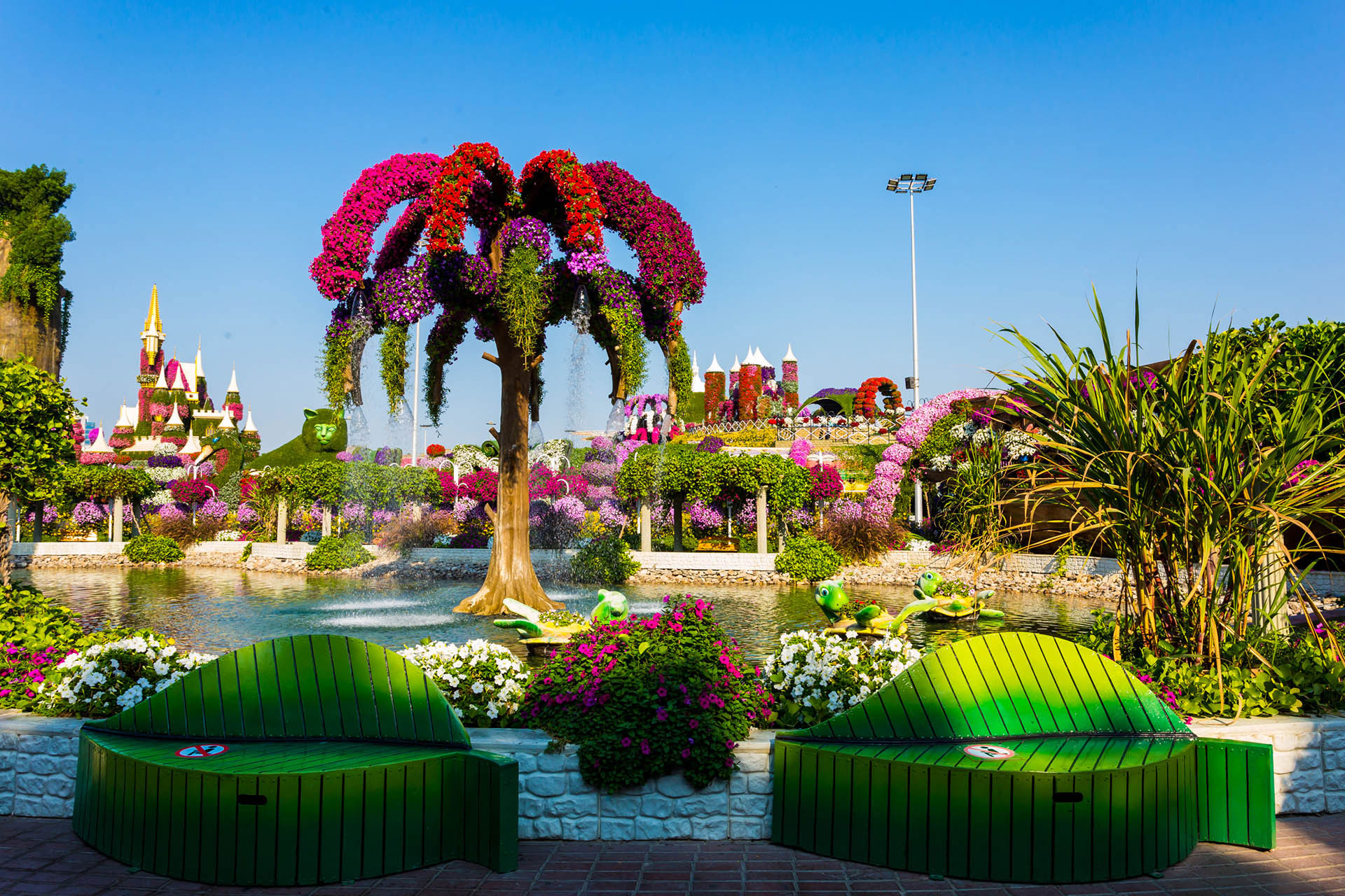Le plus grand parc floral naturel du monde Dubai Miracle Garden
