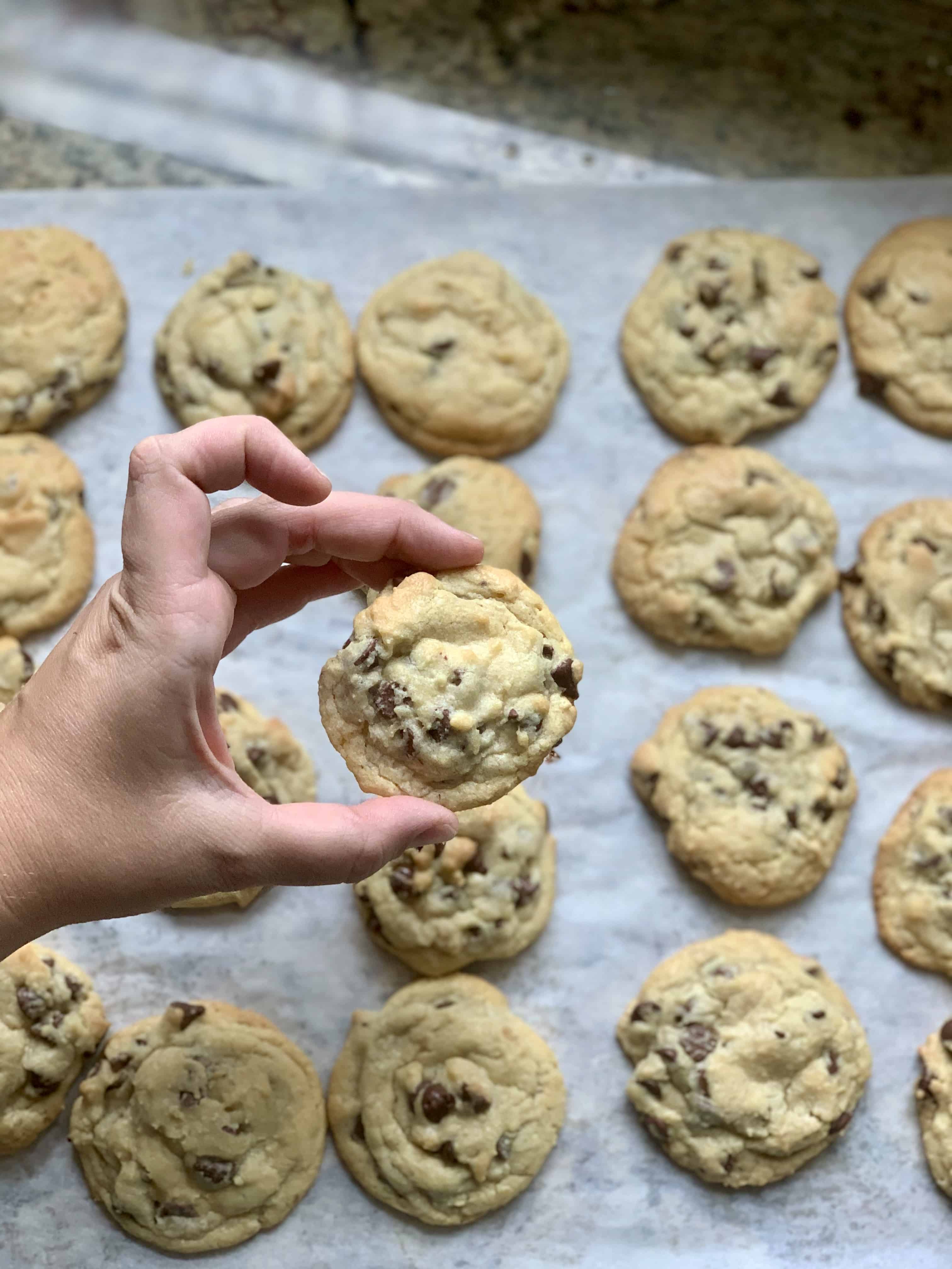 Erika's Chocolate Chip Cookies Amy Bakes Bread