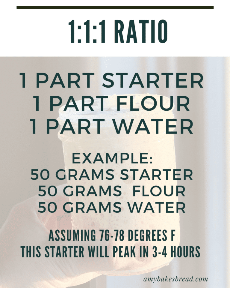 Sourdough Starter Ratios - Amy Bakes Bread