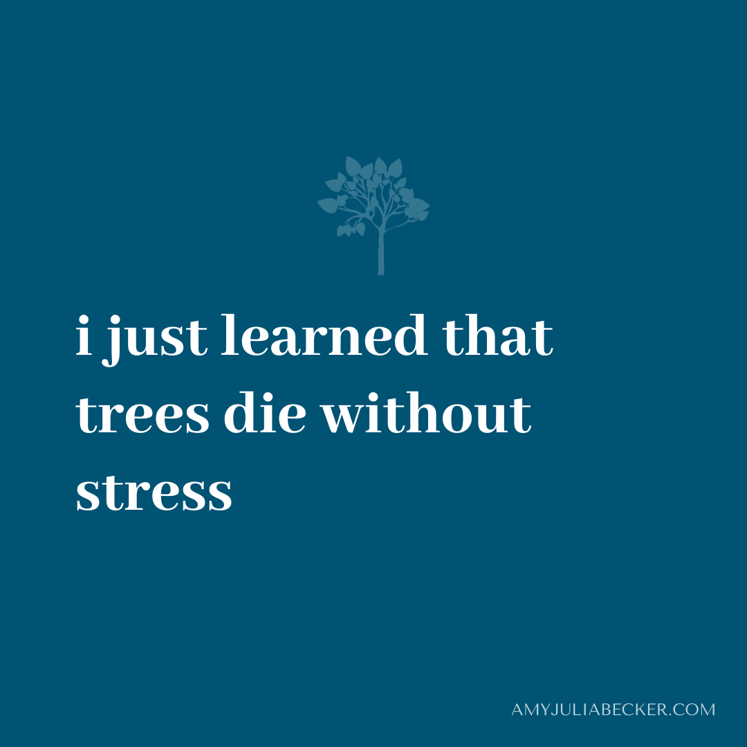 Like Trees, We Need Stress in Our Lives Amy Julia Becker