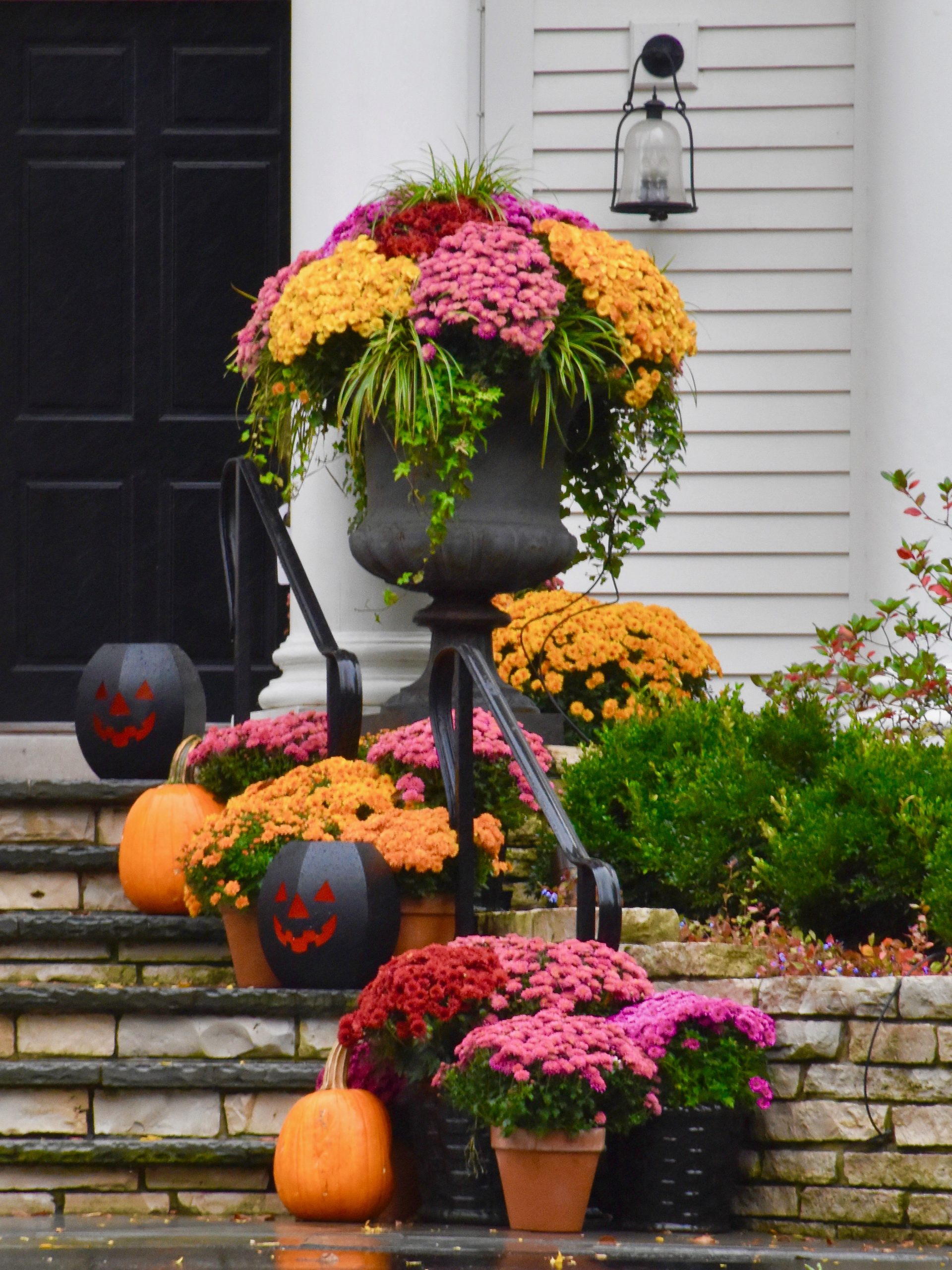 Pretty Pumpkins, Porches and Planters Maison McCauley