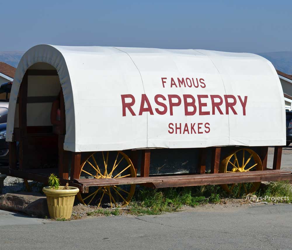 Bear Lake Raspberry Shake Showdown