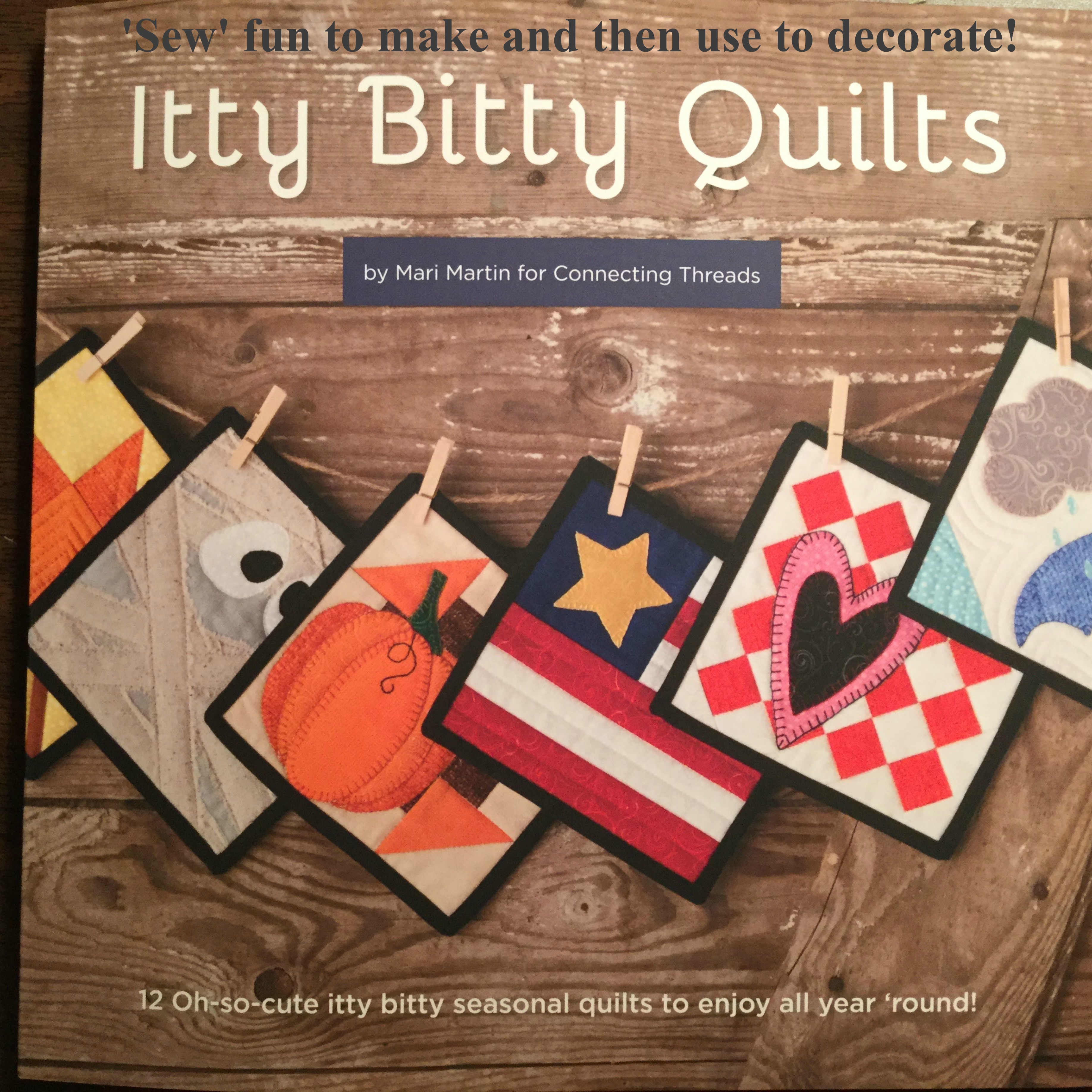 Best Book for Easy Miniature Quilt Block Patterns'Itty Bitty Quilts' Book