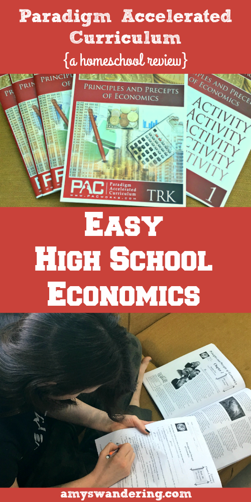 Easy High School Economics Curriculum Amy's Wandering