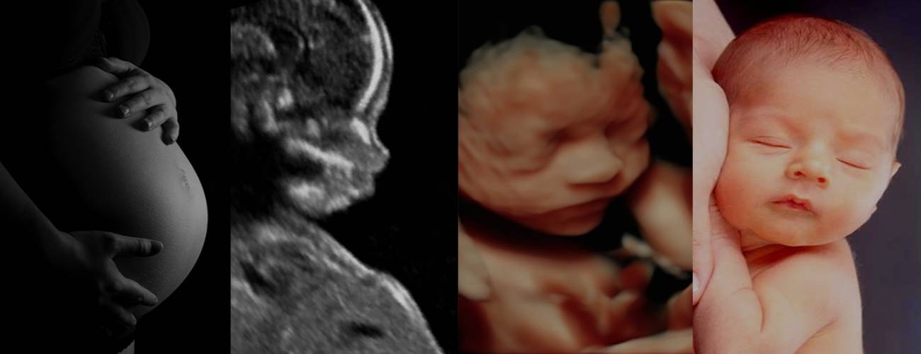 Diagnostic Center Near Me Diagnostic Centre in Noida