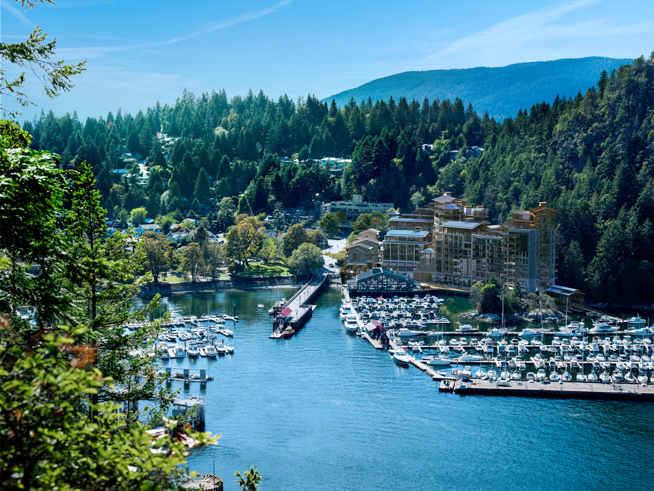 205 6707 Nelson Ave Ben Amzaleg Vancouver Real Estate