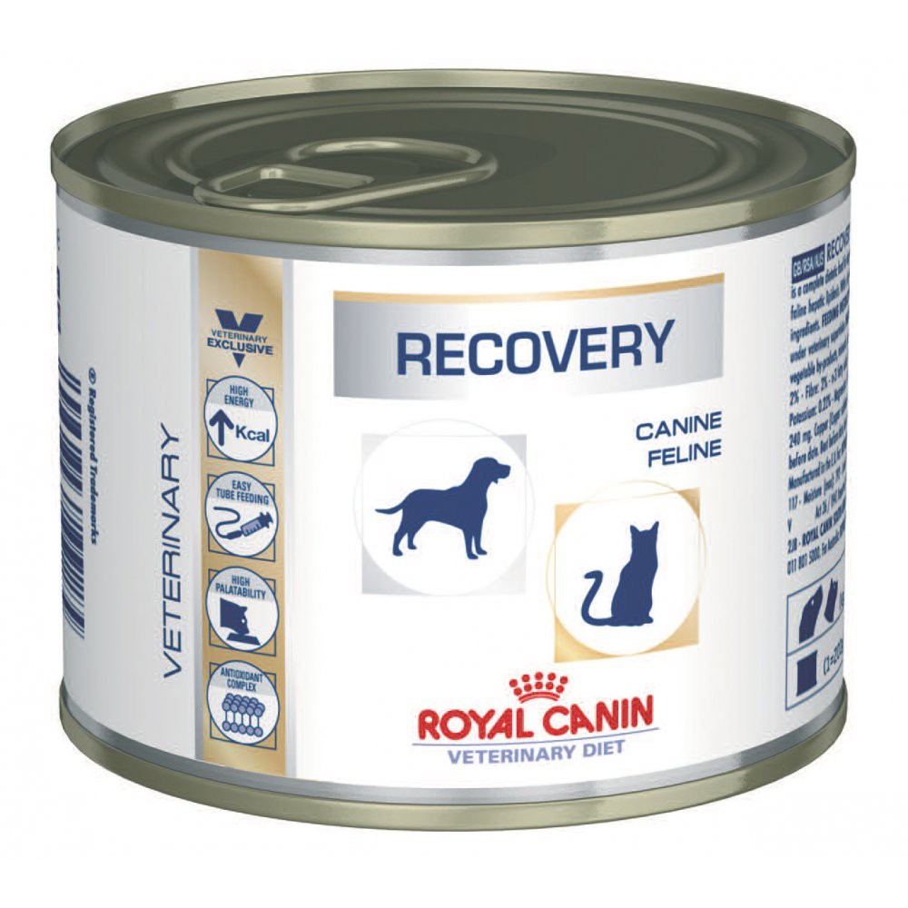 Royal Canin Recovery - 195 Gr Makanan Pada Saat Anjing Kucing Sakit - Anabul Pet Center