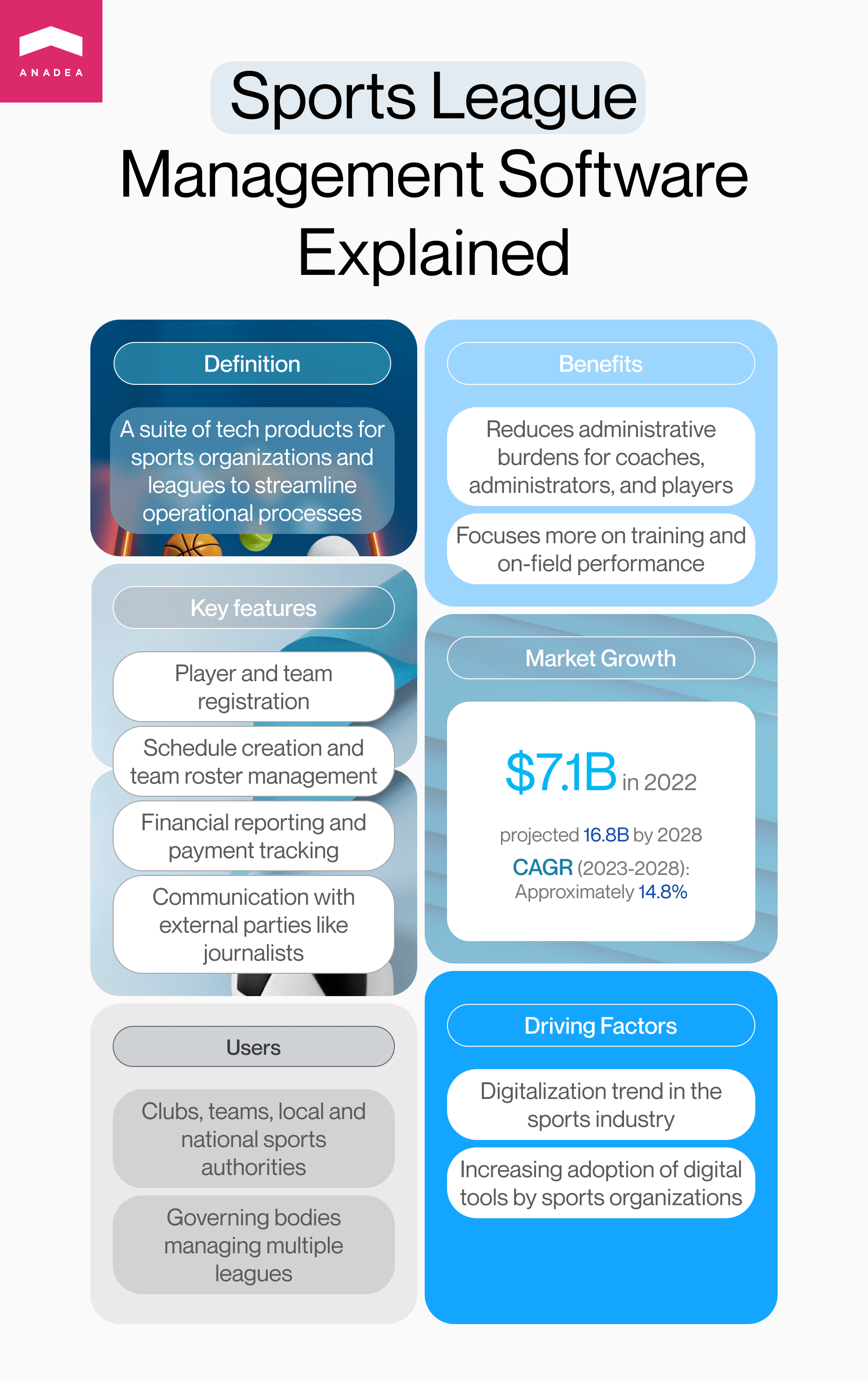 How to Create Powerful Sport Team Management Software Anadea