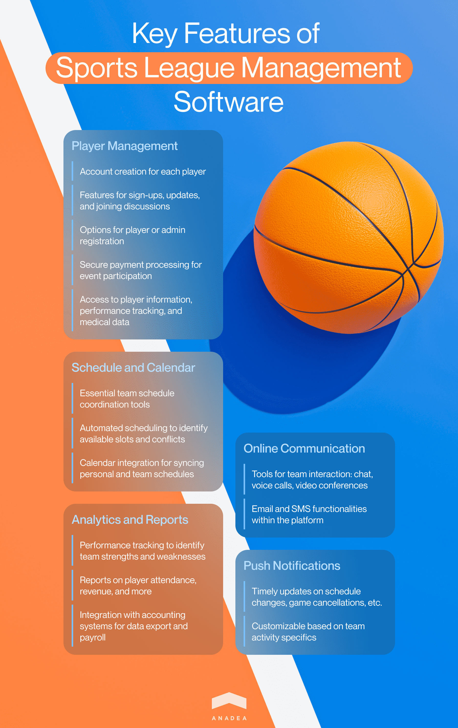 How to Create Powerful Sport Team Management Software Anadea
