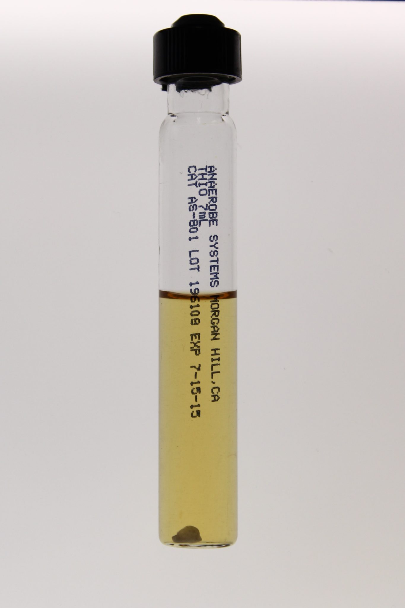 Thioglycollate Broth with Hemin, Vit. K, without indicator THIO