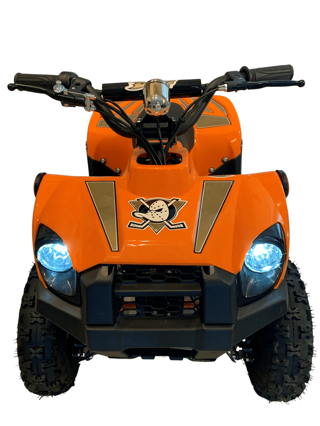 Ducks MiniATV Anaheim Team Store