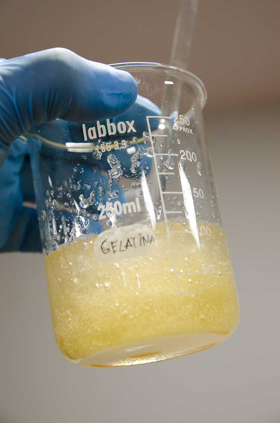 Dry gelatinebromide plate (Spanish time) Analog Inside