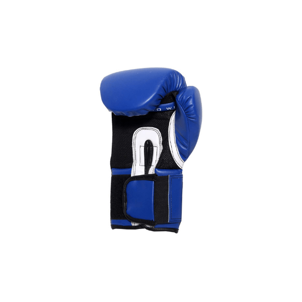 Fitness Boxing Gloves RXN