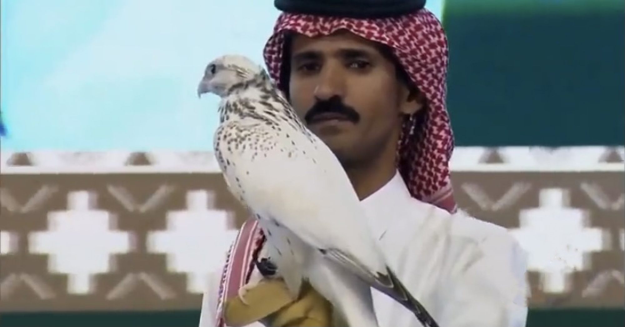 New World Record As Falcon Bird Of Prey Sells For Nearly Half A Million Dollars At Saudi Auction