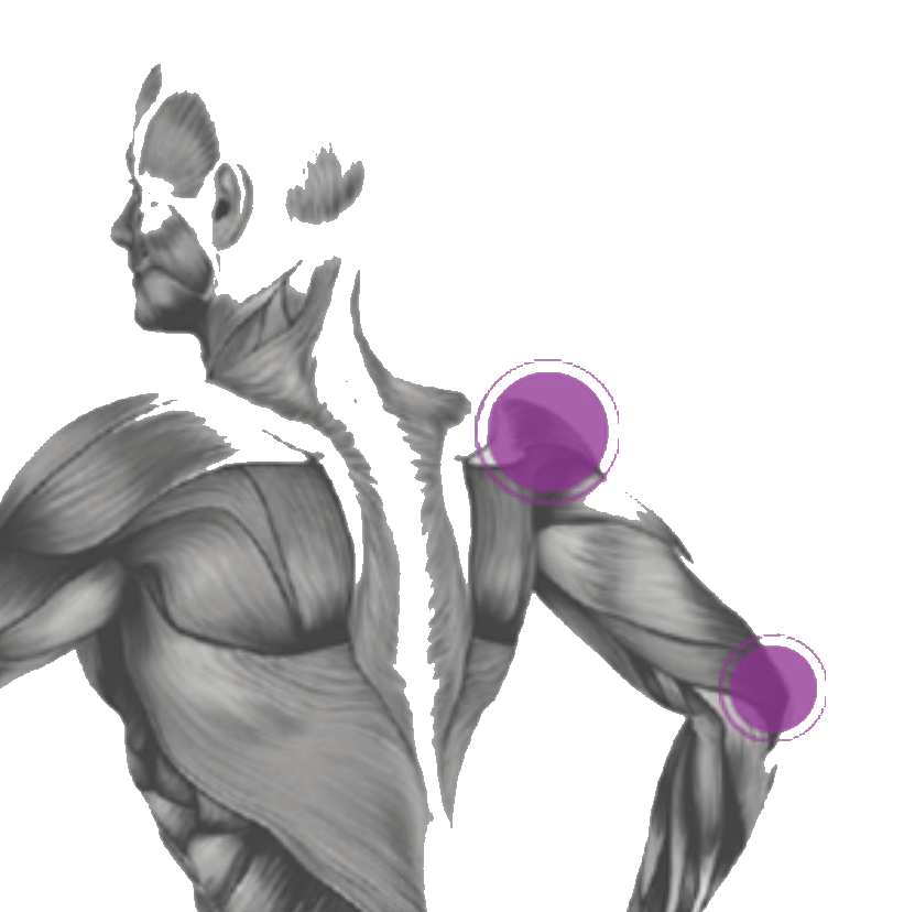 Medical/Deep Tissue Massage Therapy In Parker CO Ananta Jiva Healing