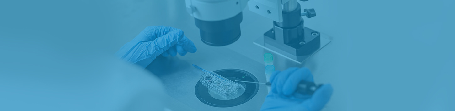 Blastocyst/Embryo Transfer Process Anant IVF Centre