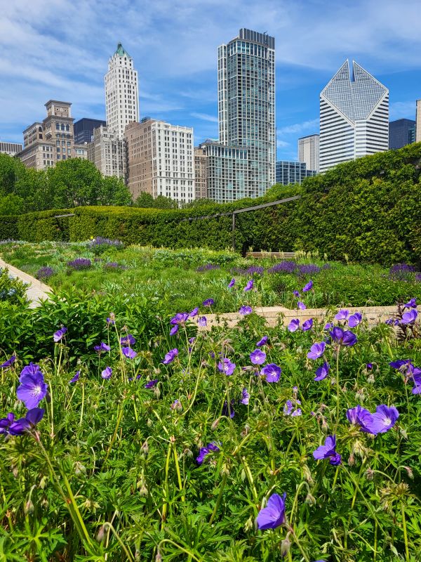 12 Top Midwest Spring Break Destinations in 2025