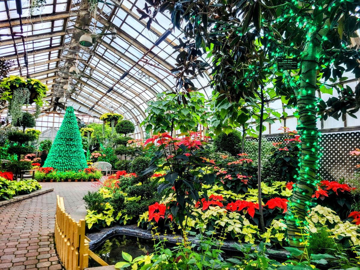 Thanksgiving In Chicago 2024 Tickets Price Datha Eolanda